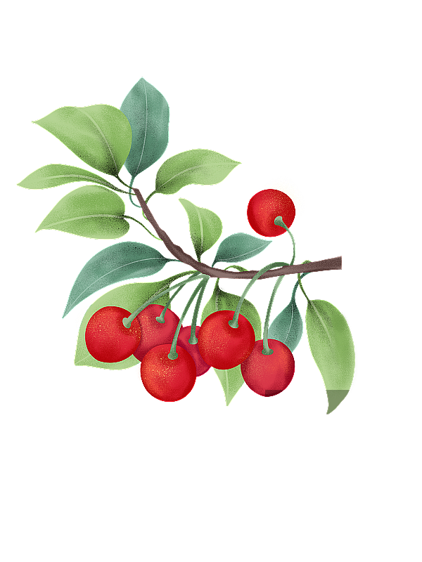 手绘水果图片素材