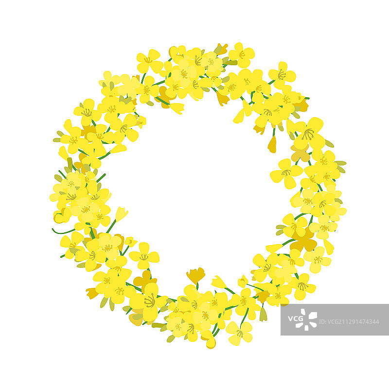 油菜花花环图片素材