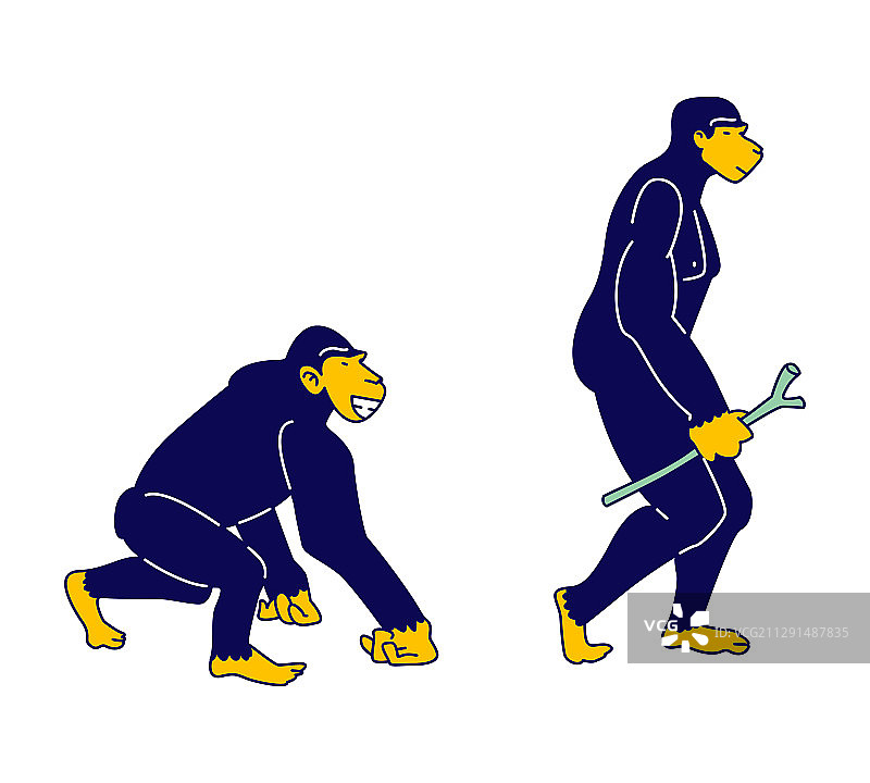 人类发展进程概念图片素材