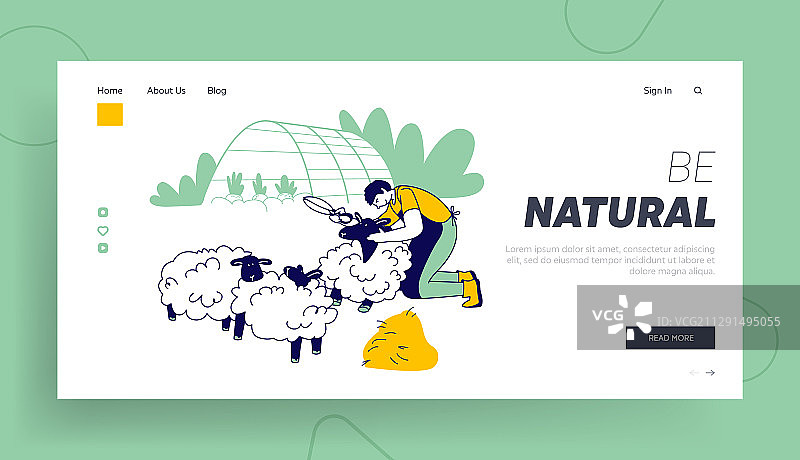 男人农民剪羊毛网站登录页图片素材