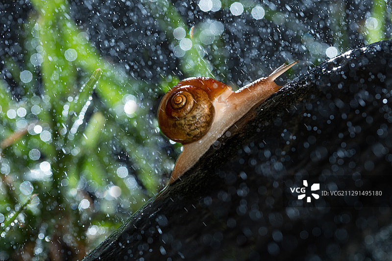 致敬奋战2020的我们图片素材