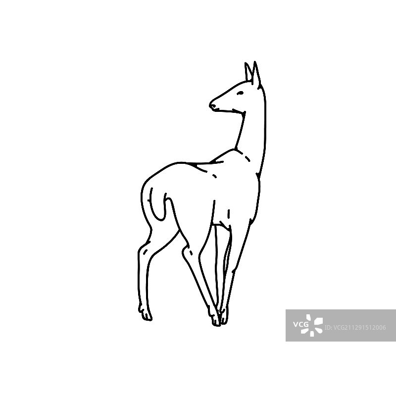 野生鹿的轮廓黑白素描图片素材