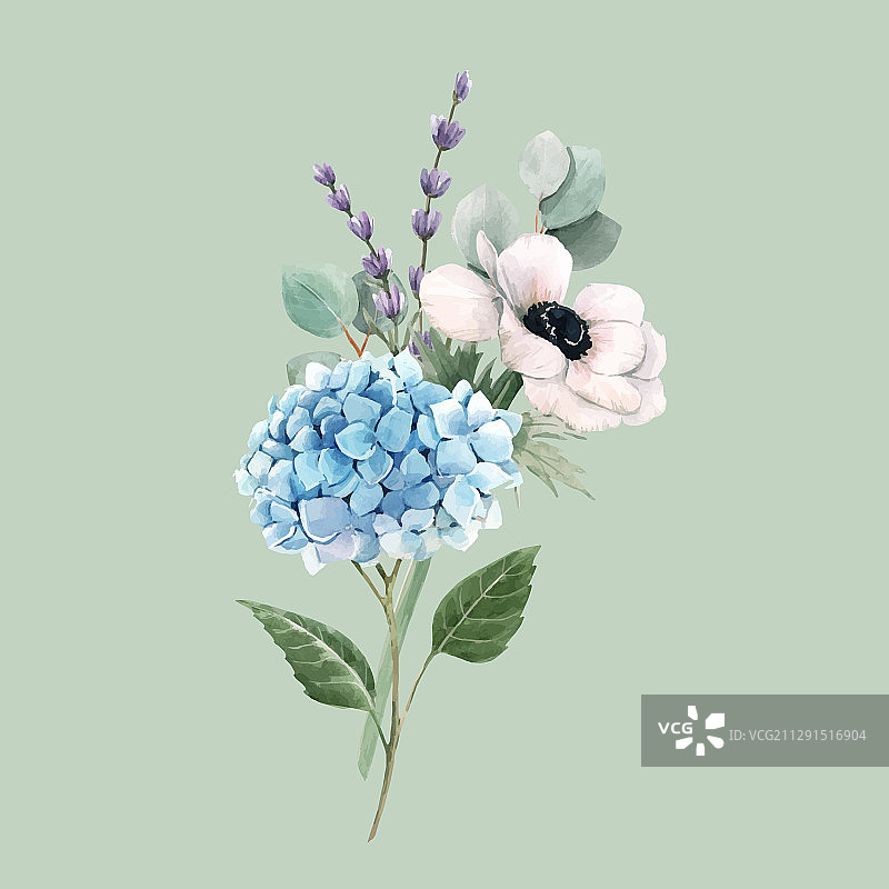 美丽的水彩柔和花束图片素材