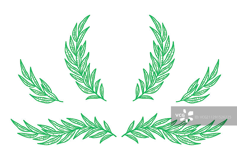 桉树枝和桉树叶花圈套装图片素材