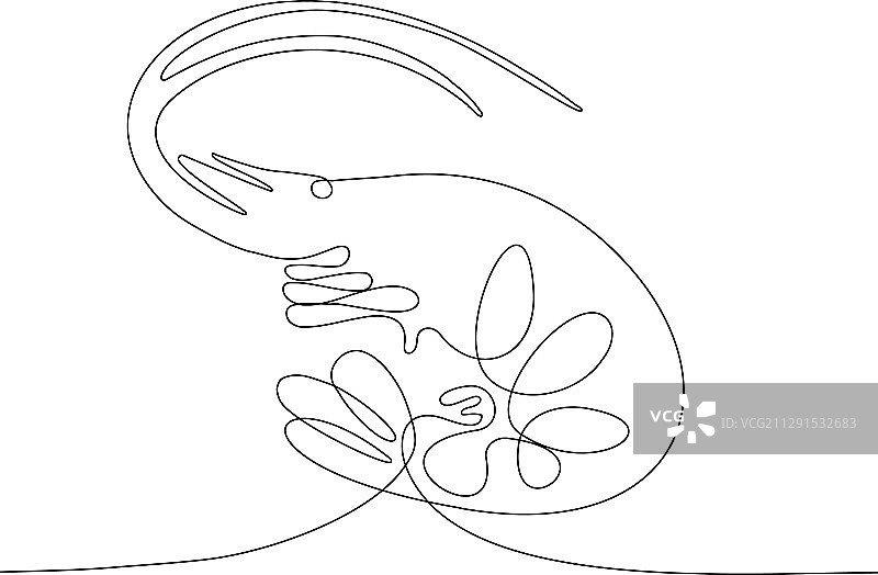 对虾连续线条画图片素材