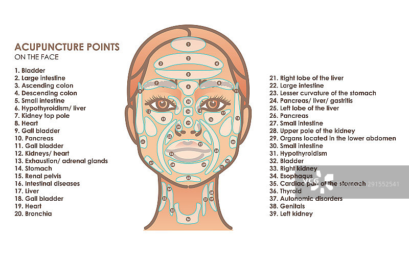 年轻女子面部穴位图片素材