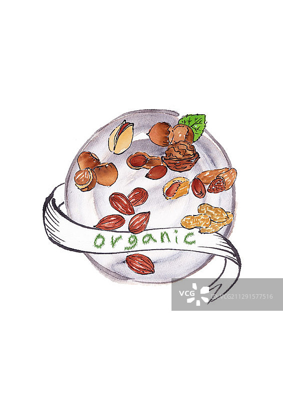 白色盘子上各种坚果的笔刷画图片素材