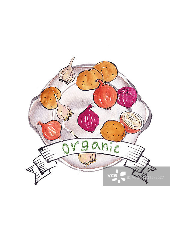 用刷子绘制的白盘子上各色洋葱和土豆图片素材