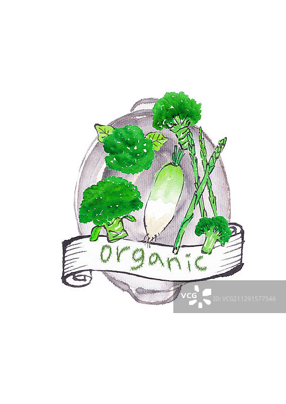 水彩手绘什锦蔬菜：萝卜、西兰花和芦笋图片素材