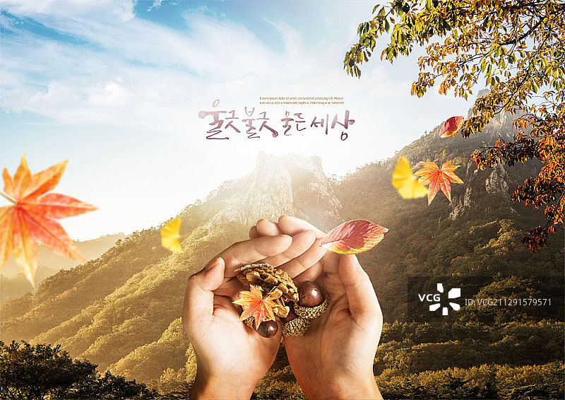 手持秋季橡果和树叶的山景合成图像图片素材