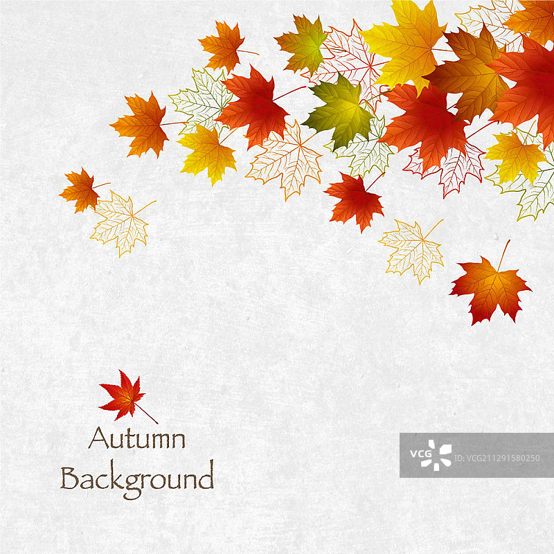 枫叶秋叶矢量背景图片素材