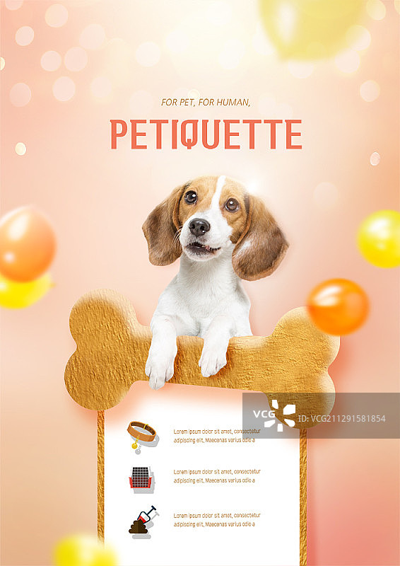 宠物礼仪主题合成图，含狗和骨头饼干图片素材