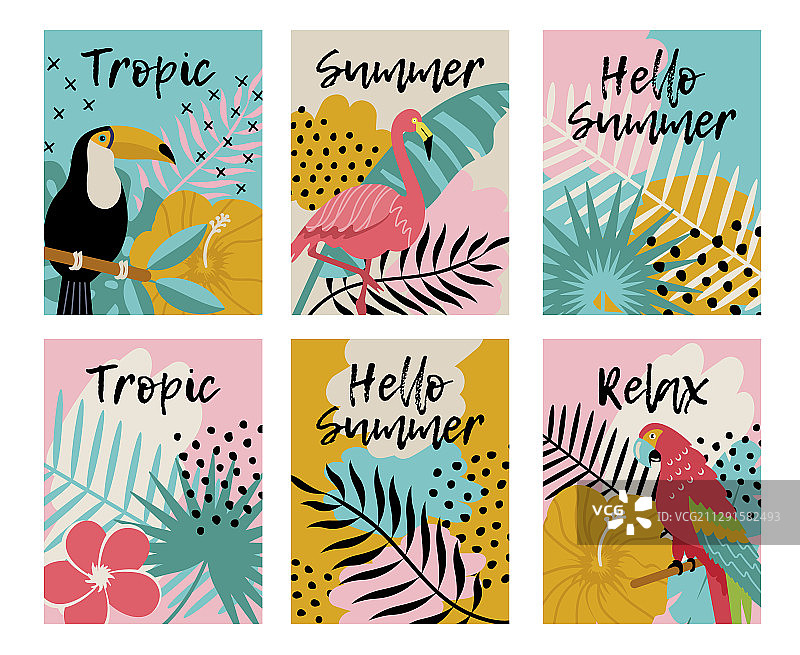 热带鸟类花卉素材图片素材