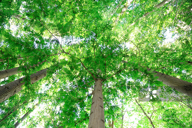 大连海事大学图片素材