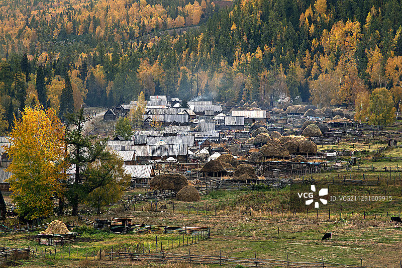 白哈巴村图片素材