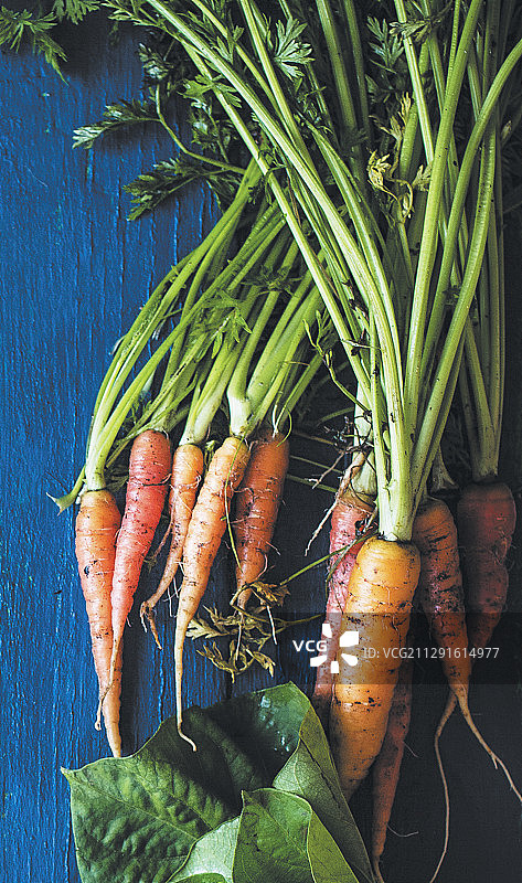 新鲜有机胡萝卜图片素材