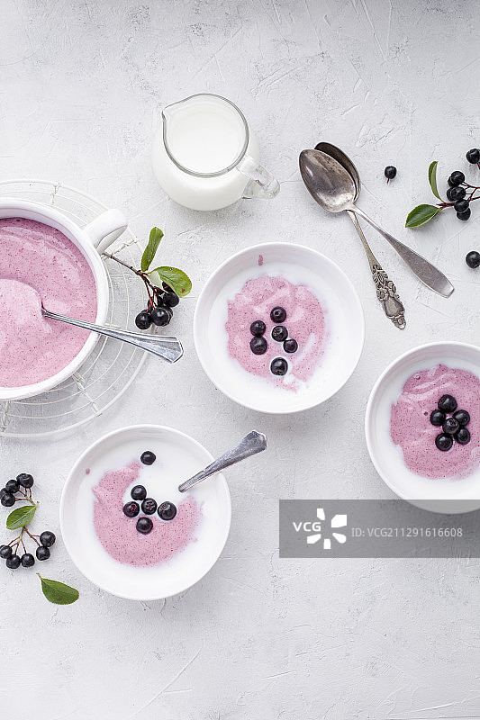 用粗粒小麦粉、黑果腺肋花楸和苹果制成的搅打粥图片素材