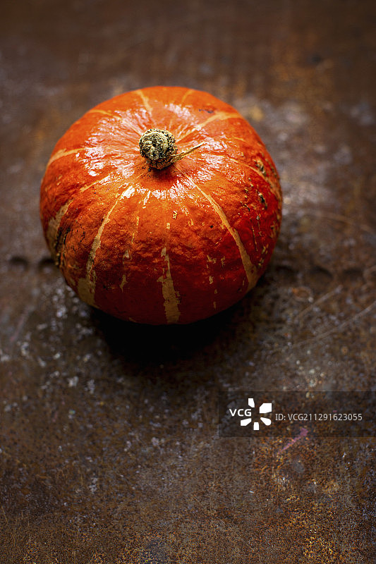 日本南瓜图片素材