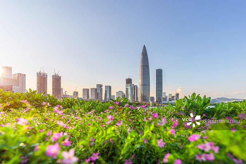 深圳人才公园风光图片素材