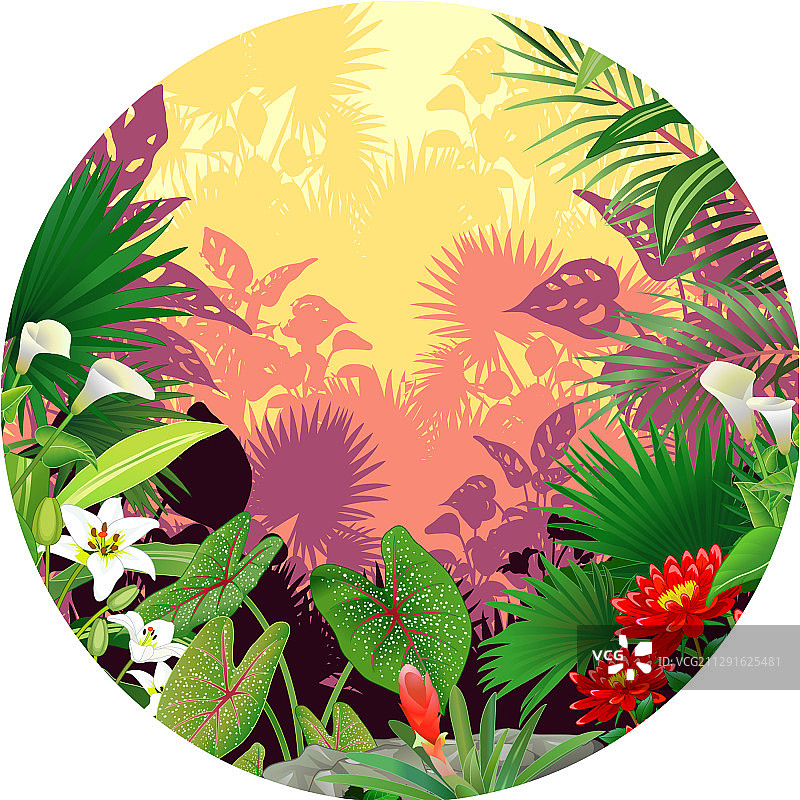 圆形画框中的美丽森林景观图片素材