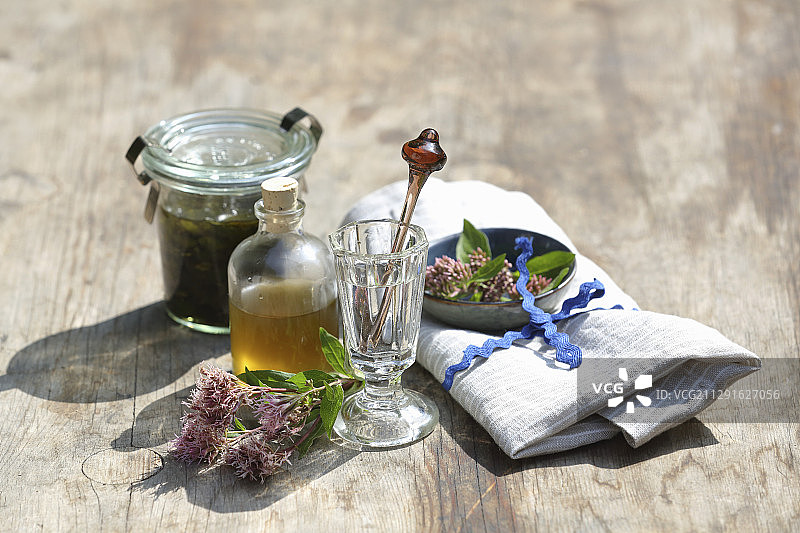 泽兰精华，提升免疫系统图片素材