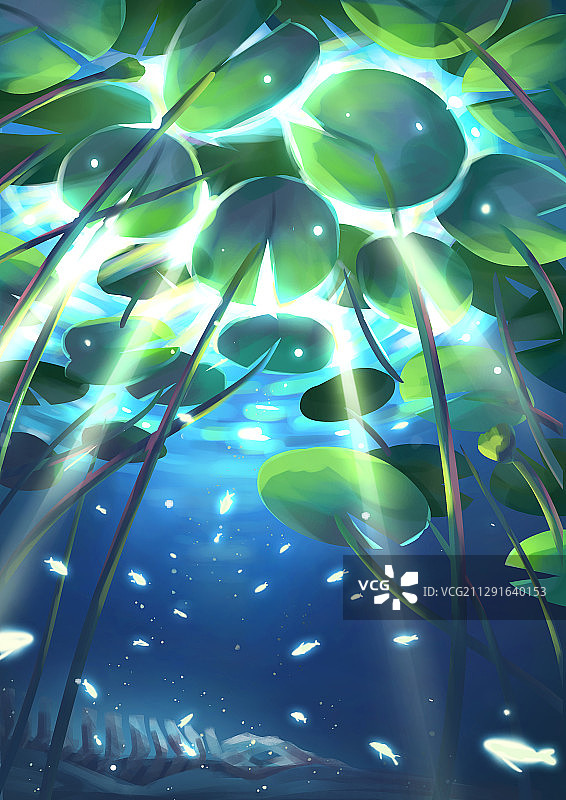 水底世界2图片素材