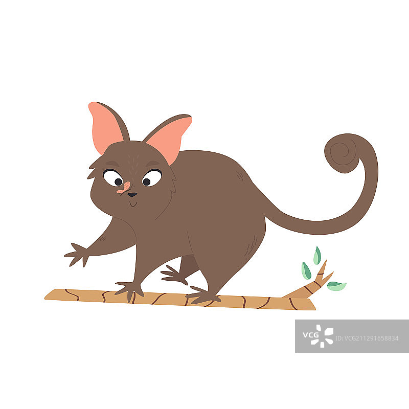 可爱的澳洲负鼠动物角色设计图片素材