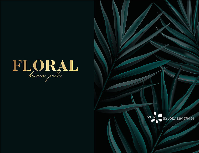 金色字母的野生棕榈图案设计图片素材