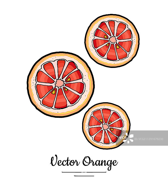 完整的独立葡萄柚橙子组合图片素材
