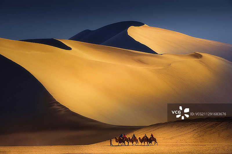 沙漠驼影图片素材