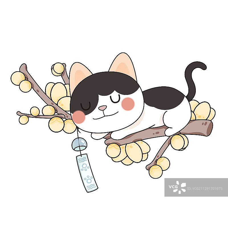 十二月猫与花之腊梅图片素材