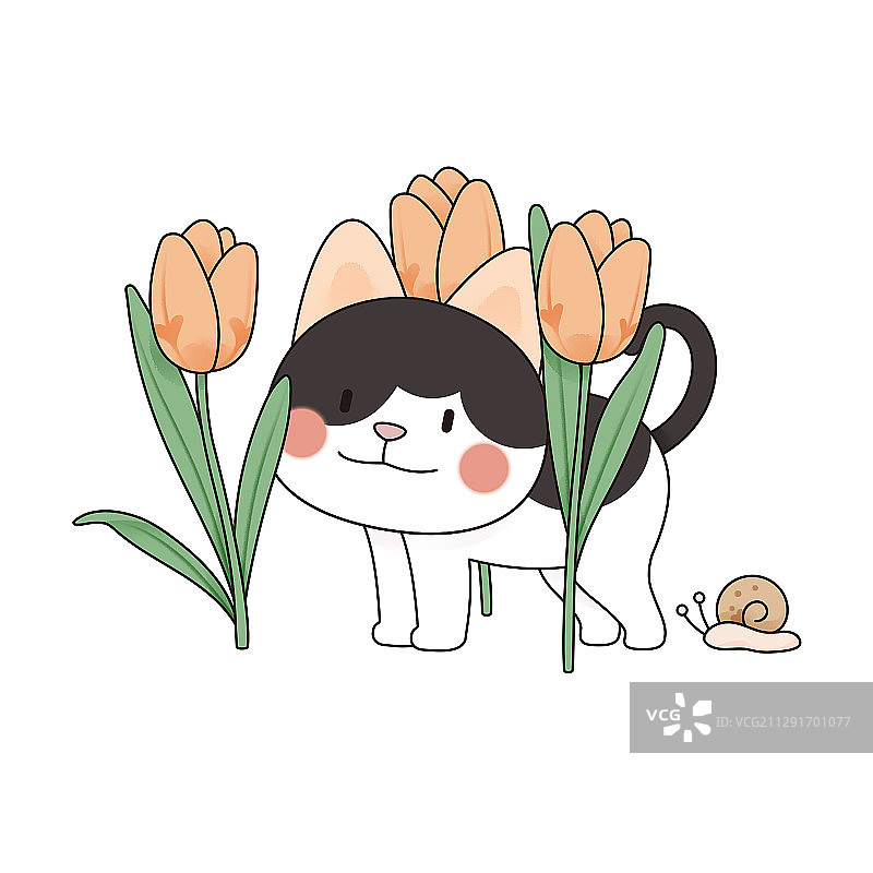 十二月猫与花之郁金香图片素材