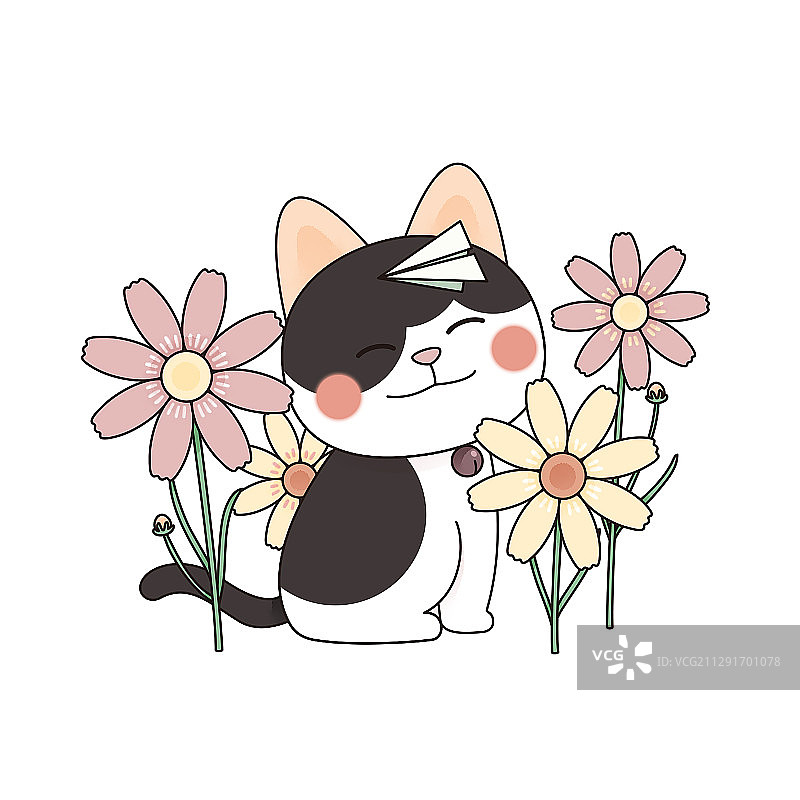 十二月猫与花之波斯菊图片素材