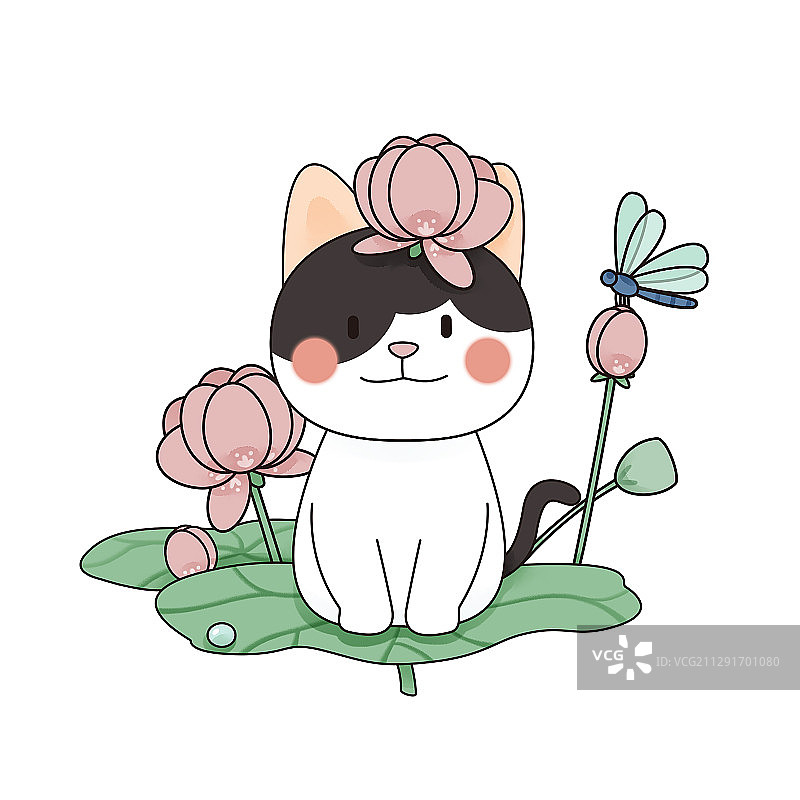 十二月猫与花之荷花图片素材