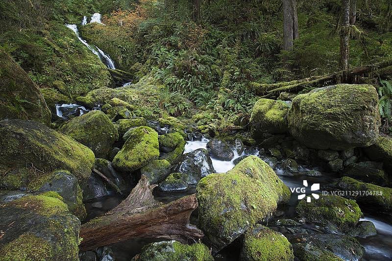 奎纳尔特湖的班奇溪瀑布，美国华盛顿州阿伯丁图片素材