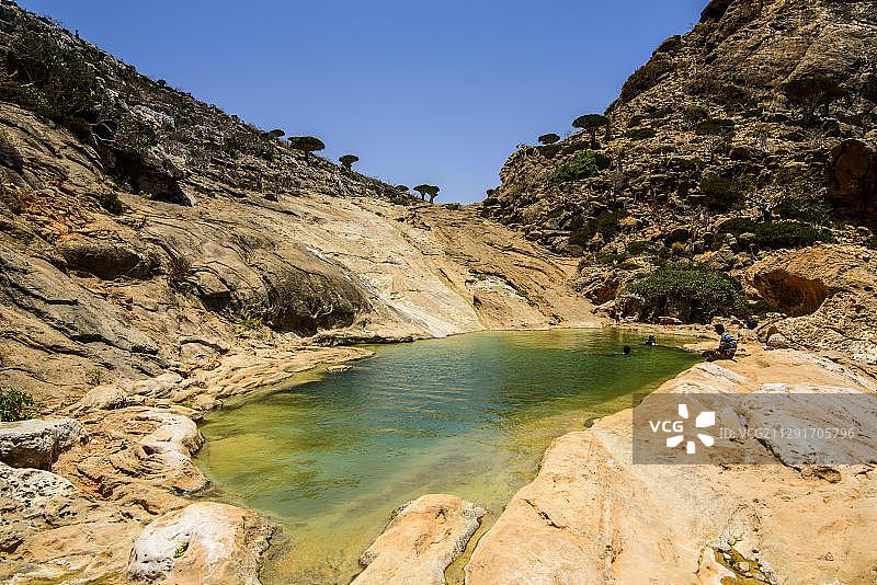 也门索科特拉岛霍姆希尔保护区海岸池塘图片素材