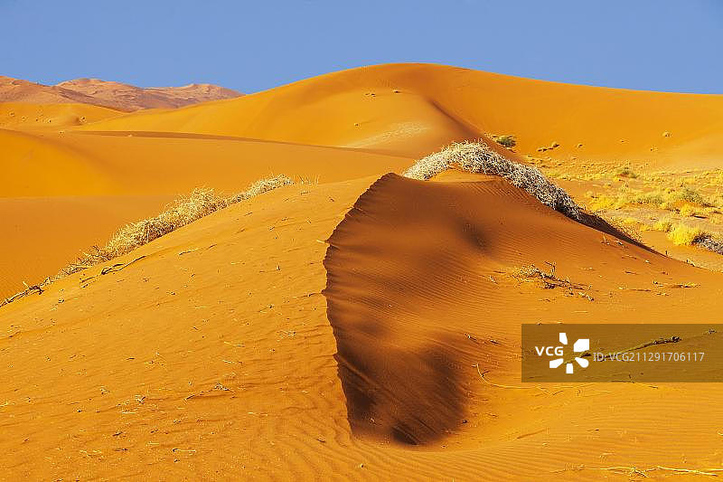 纳米比亚纳米布-诺克卢夫国家公园苏索斯维利沙丘图片素材