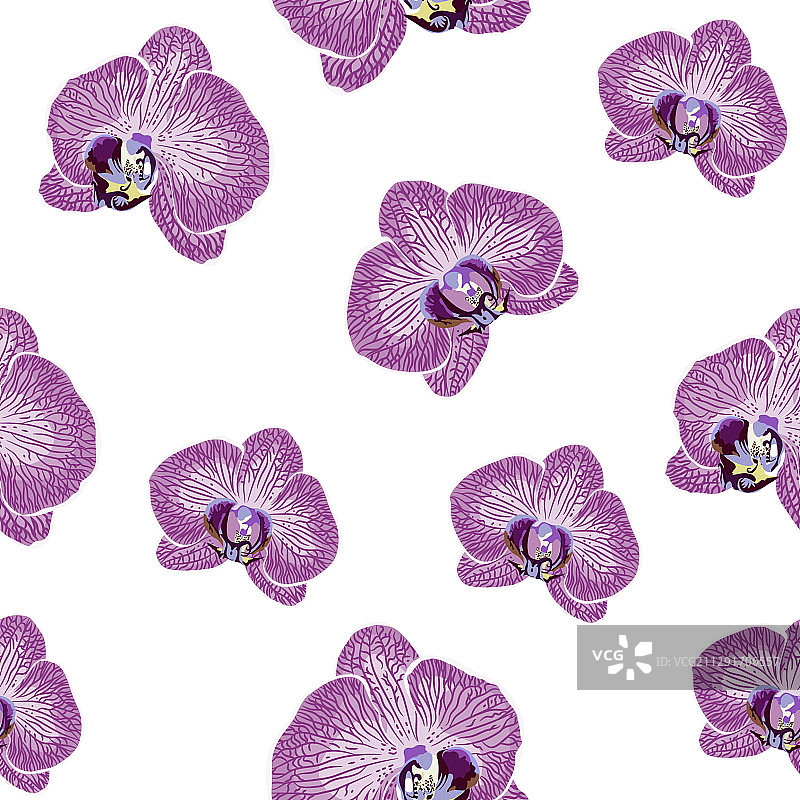 手绘兰花无缝图案图片素材