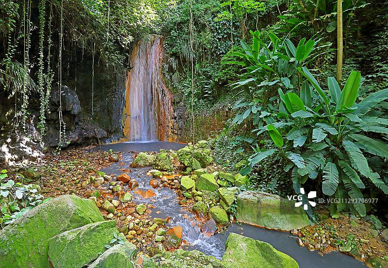 植物园中的钻石瀑布（位于圣卢西亚，小安的列斯群岛，西印度群岛，加勒比群岛）图片素材