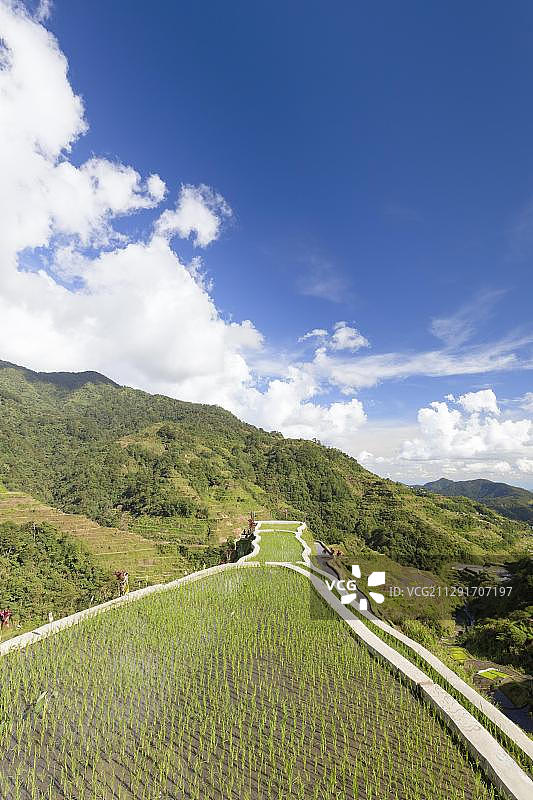 从巴纳韦观景点看到的菲律宾巴纳韦的梯田景色图片素材