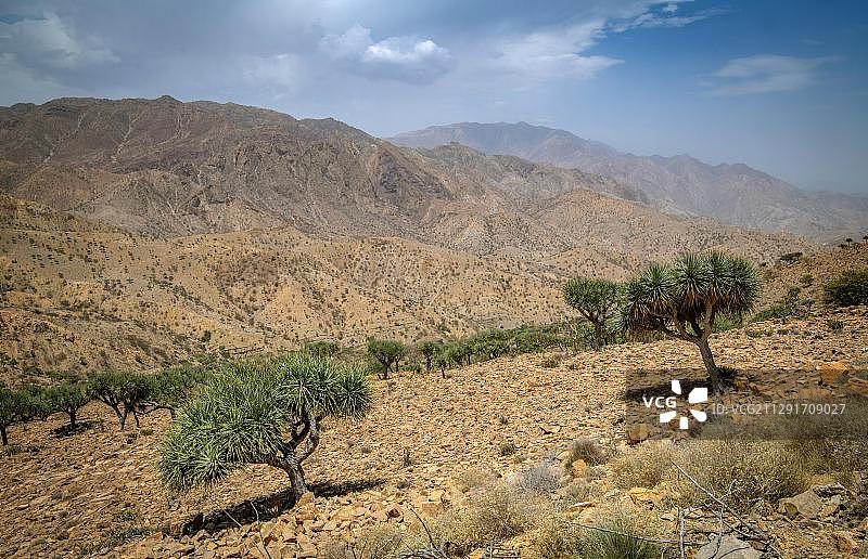 埃塞俄比亚达纳基勒洼地稀疏的植被景观图片素材