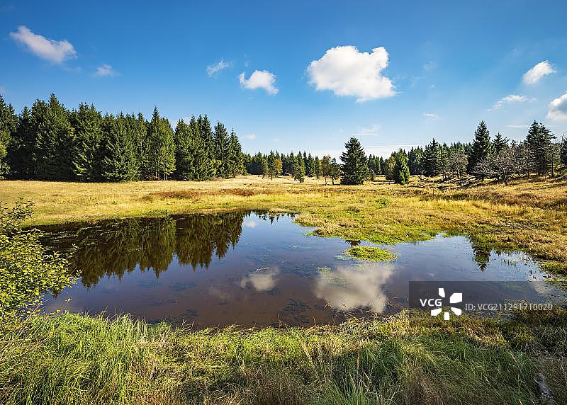 埃尔茨山脉山脊上沼泽中的小湖泊，捷克共和国，欧洲图片素材