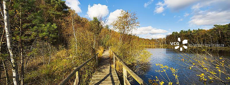 秋季Mueritz国家公园的荒地木板路图片素材