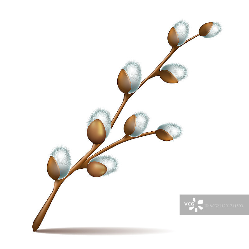 复活节开花的春季小树枝图片素材