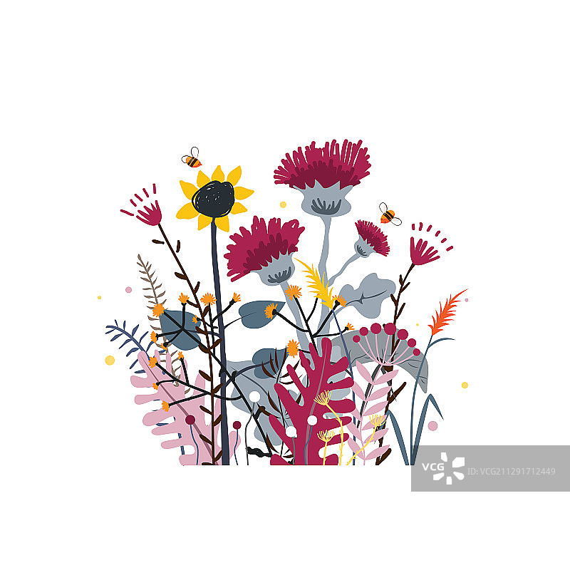 野花和蜂蜜草甸花束图片素材