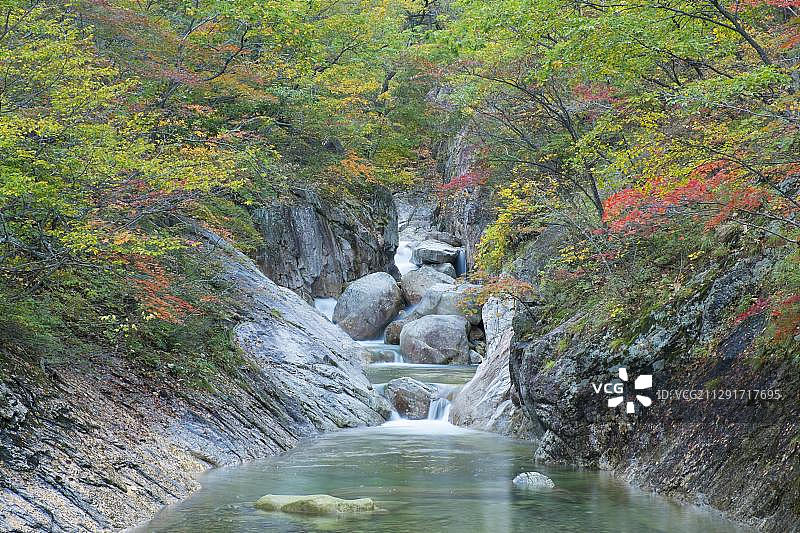 雪岳山国家公园的秋叶山涧（韩国束草市，亚洲）图片素材