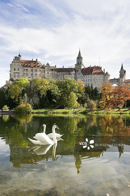 德国锡格马林根城堡前的天鹅图片素材