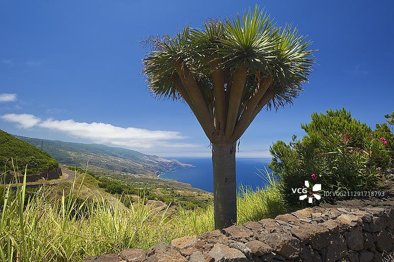 西班牙拉帕尔马岛托斯卡瞭望台图片素材