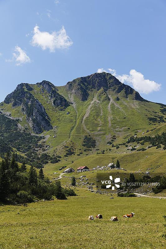 罗塔旺德山和格罗斯蒂芬塔尔高山草场，德国巴伐利亚图片素材