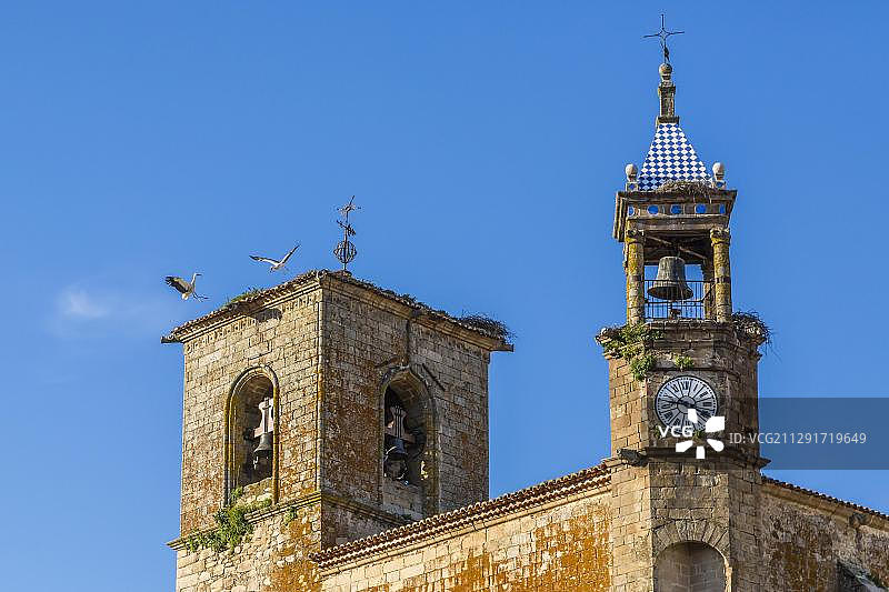 西班牙特鲁希略圣玛利亚拉马约尔教堂屋顶上的白鹳巢图片素材